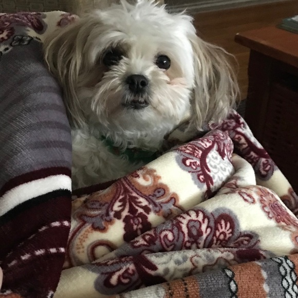 Meet your Posher, Jessica - Picture 1 of 1